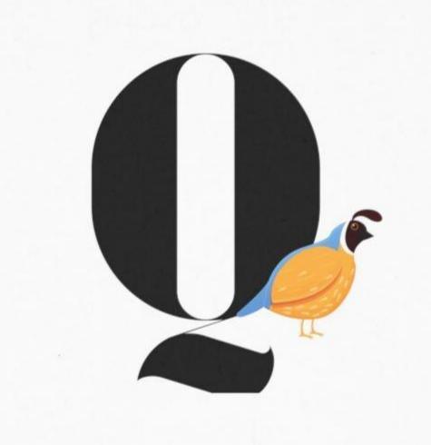 Alphabet Adventures: Letter Q - Quail Toddler T-shirt - Whippie's