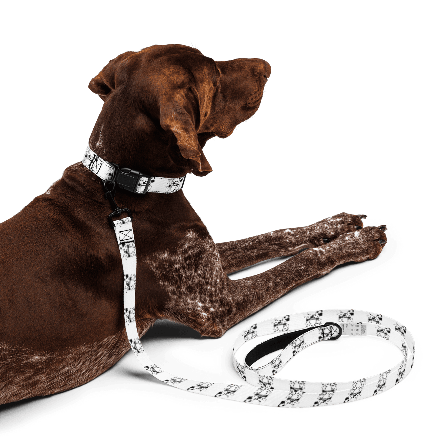 Steamboat Willie - Pet Collar & Leash - Whippie's
