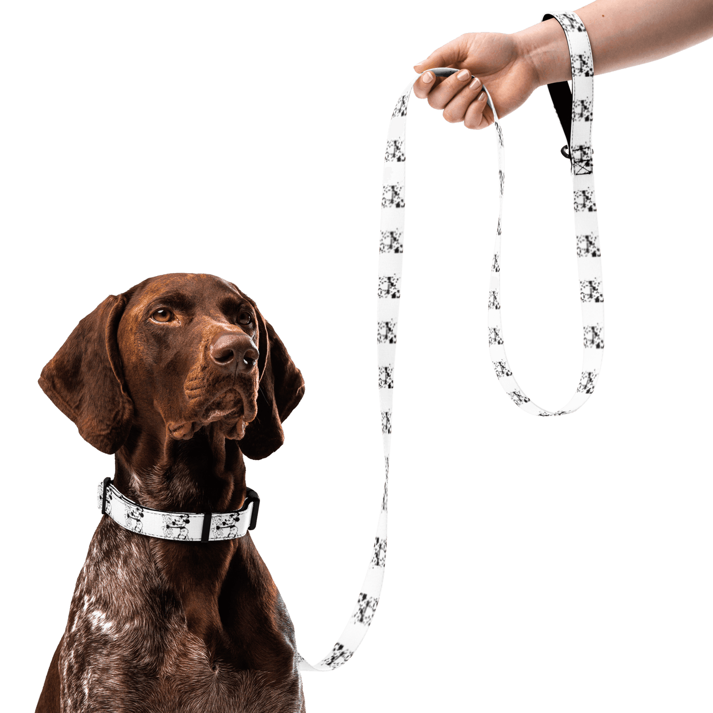 Steamboat Willie - Pet Collar & Leash - Whippie's
