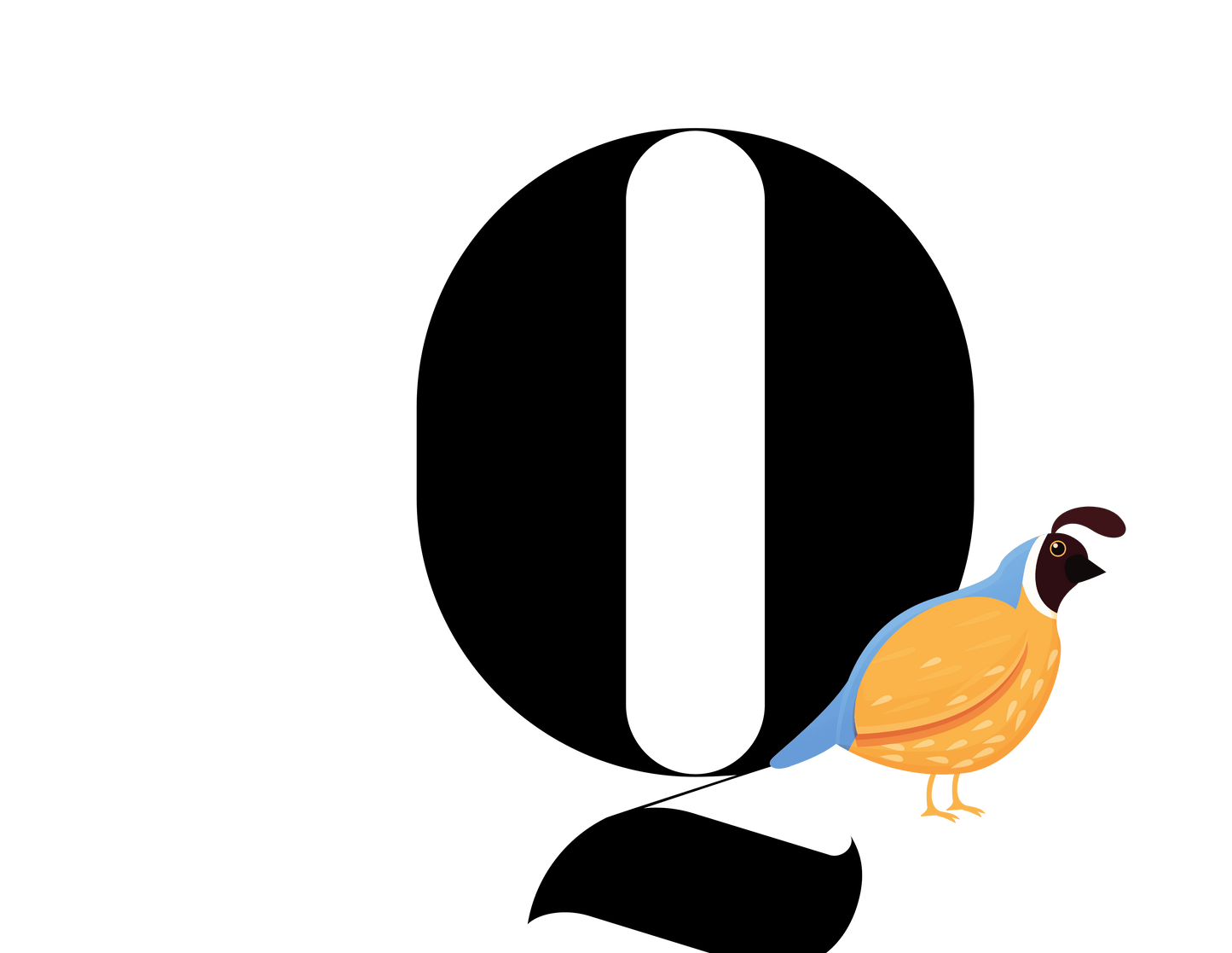 Alphabet Adventures: Letter Q - Quiet Quail Baby Onesie Q is for Quiet Quail! - Whippie's