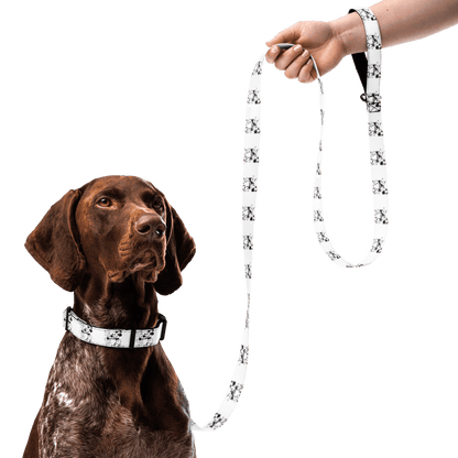 Steamboat Willie - Pet Collar & Leash - Whippie's